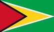 GUYANA FLAG
